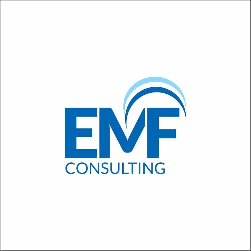 consultant